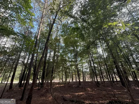 334 Oconee Forest Rd, Stephens, GA 30667 photo 4
