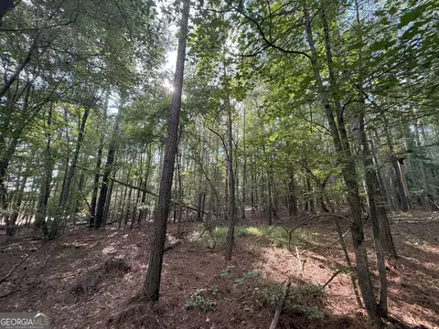 334 Oconee Forest Rd, Stephens, GA 30667 photo 9
