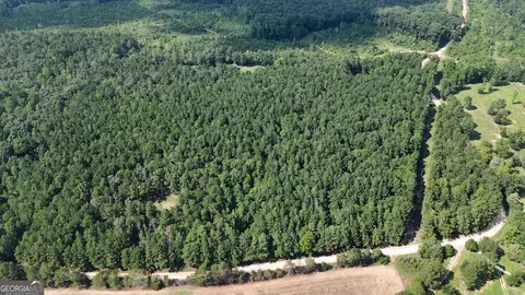 334 Oconee Forest Rd, Stephens, GA 30667 photo 17