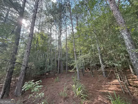334 Oconee Forest Rd, Stephens, GA 30667 photo 10