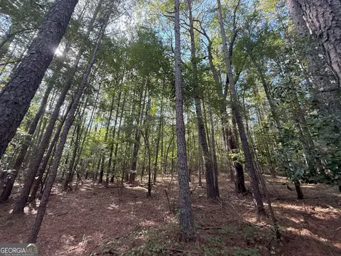 334 Oconee Forest Rd, Stephens, GA 30667 photo 5