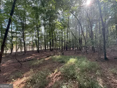334 Oconee Forest Rd, Stephens, GA 30667 photo 7