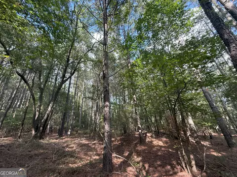 334 Oconee Forest Rd, Stephens, GA 30667 photo 19