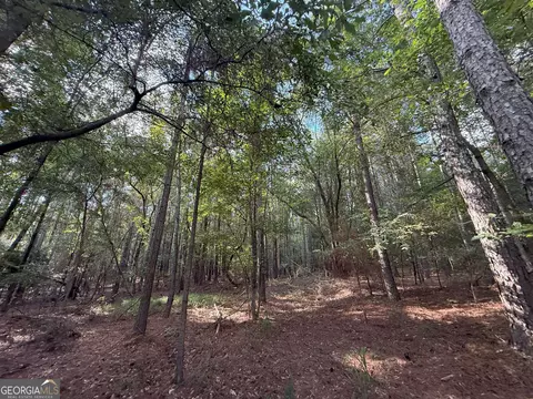 334 Oconee Forest Rd, Stephens, GA 30667 photo 8