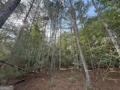334 Oconee Forest Rd, Stephens, GA 30667 photo 11