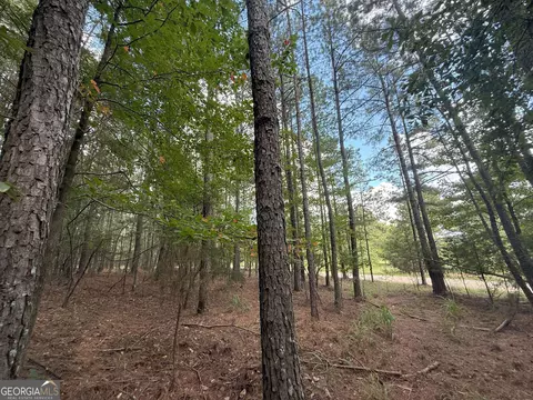 334 Oconee Forest Rd, Stephens, GA 30667 photo 21