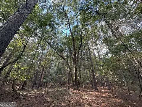 334 Oconee Forest Rd, Stephens, GA 30667 photo 6