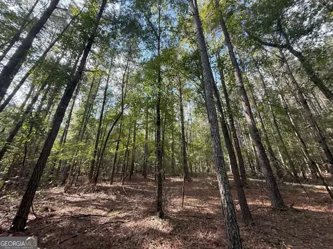 334 Oconee Forest Rd, Stephens, GA 30667 photo 3