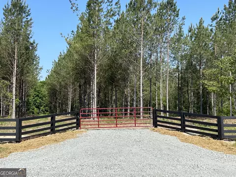 0 Dewey Thomas Rd #LOT 12, Dexter, GA 31019
