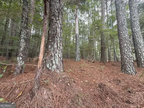 332 Oconee Forest Rd, Stephens, GA 30667
