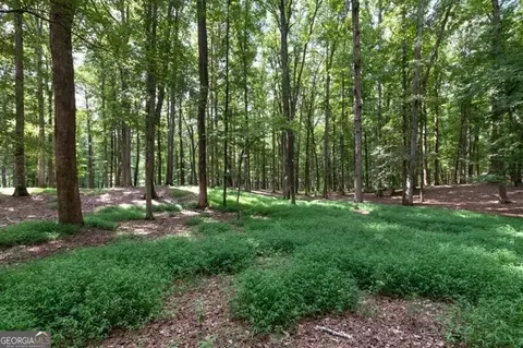 Undisclosed, Milton, GA 30004 photo 20
