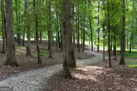 Undisclosed, Milton, GA 30004 photo 16