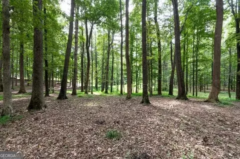 Undisclosed, Milton, GA 30004 photo 18