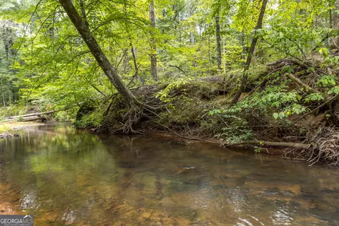 Other - 490 Barnes Mill Rd, Hamilton, GA 31811 photo 10 of 13