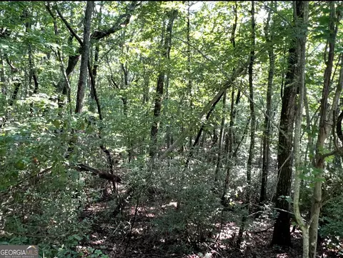 1502 Raspberry Ln, Clarkesville, GA 30523