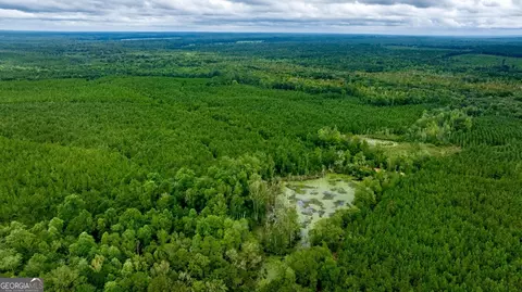 0 Pine Creek Rd, Ellaville, GA 31806