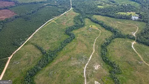 0 John S Horton Rd #TRACT 2, Adrian, GA 31002
