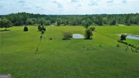 Other - 91 Cane Cir, Nahunta, GA 31553 photo 6 of 23