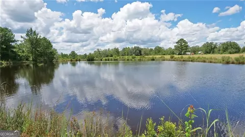 View/Area - 91 Cane Cir, Nahunta, GA 31553 photo 6 of 6