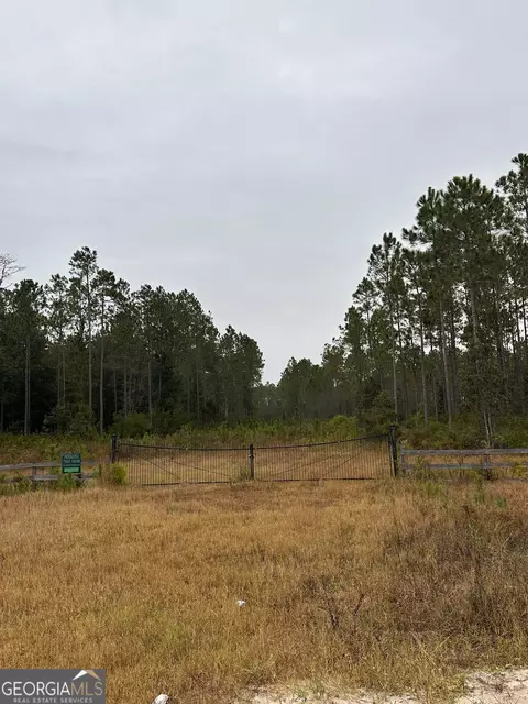 1001 Barber Branch Rd, Saint George, GA 31562