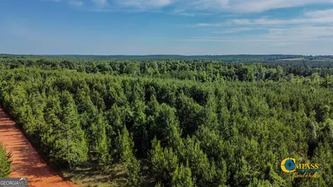0 Welch Rd, Buena Vista, GA 31803