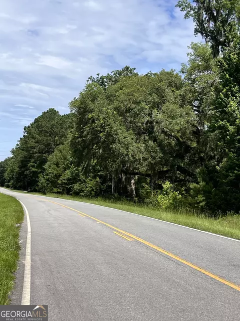 0 Sandy Run Rd, Riceboro, GA 31323