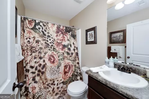Bath - 339 Stane Brook Ct, Jackson, GA 30233 photo 1 of 3