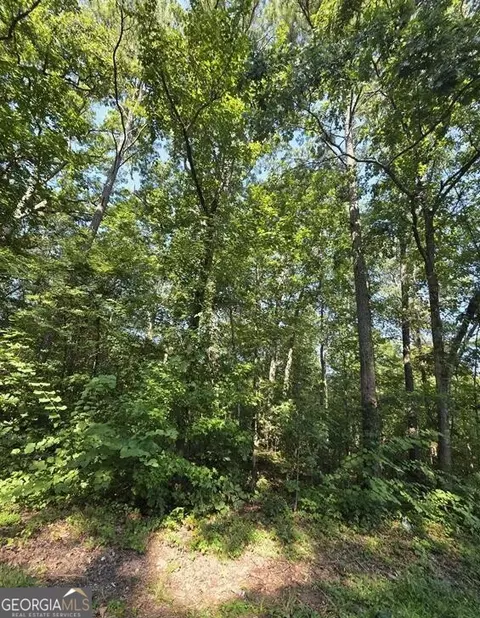lot34 37 County Road 249, Leesburg, AL 35983