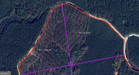 Tr 5 19.018 Ac Pike Road, Franklin, GA 30217
