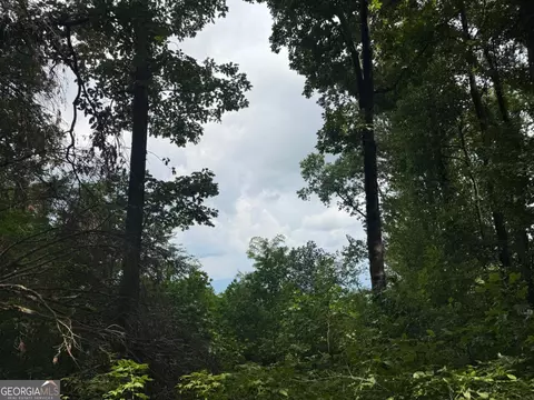 18 S Acres S Pineypur Rd S #TR 24, Ellijay, GA 30536