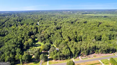 View/Area - 311 Hillview Rd, Hampton, GA 30228 photo 9 of 9