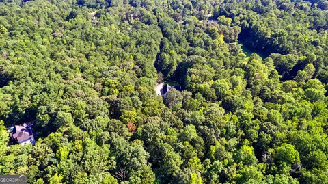 View/Area - 311 Hillview Rd, Hampton, GA 30228 photo 7 of 9