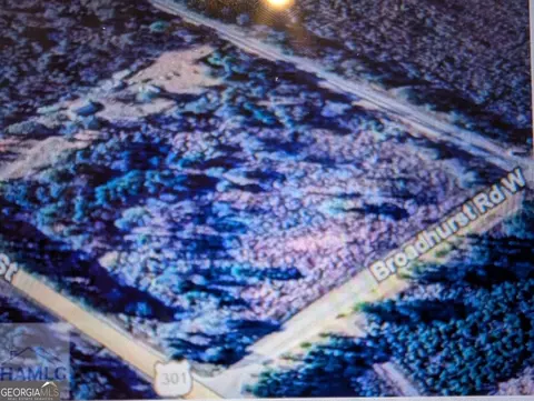 8966 S Us Hwy 301, Jesup, GA 31546