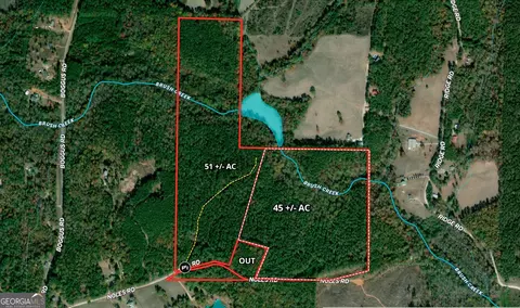 51 Ac Noles Rd, Franklin, GA 30217