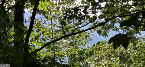 lot17 Abbott Mill Rd #17, Ellijay, GA 30540