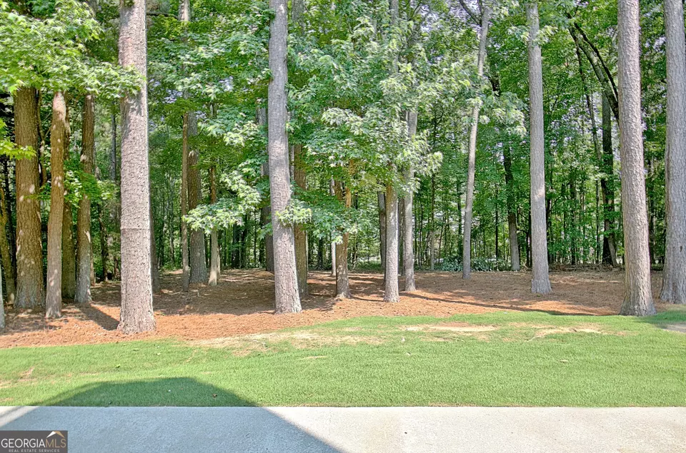 Exterior - 185 Newfield Dr #1, Tyrone, GA 30290 photo 8 of 17