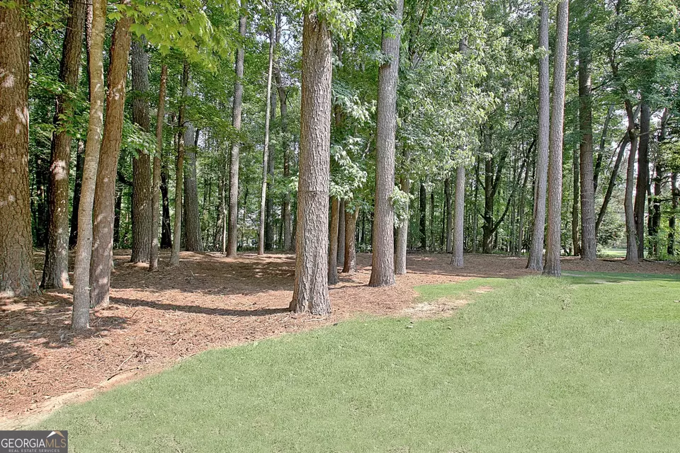 Exterior - 185 Newfield Dr #1, Tyrone, GA 30290 photo 13 of 17