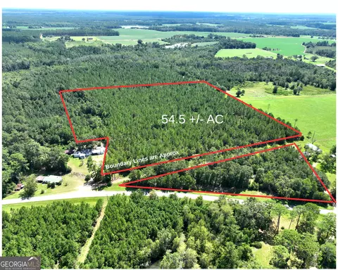 0 Crump Rd, Bristol, GA 31518