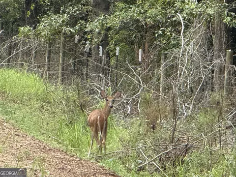 23 75 Acres Bastonville, Gibson, GA 30810