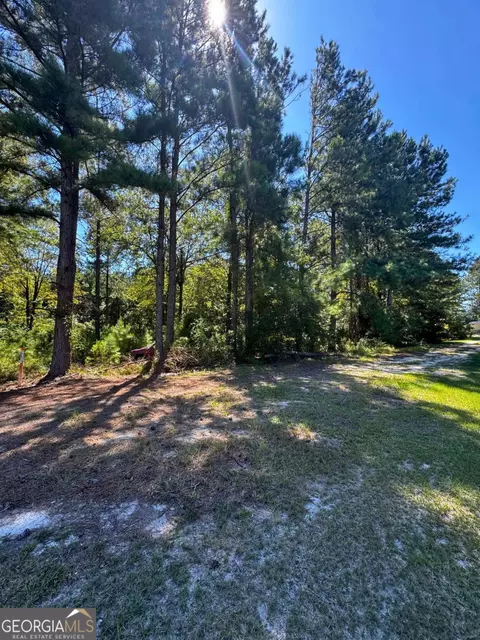 Undisclosed, Sylvania, GA 30467