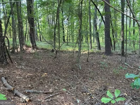 7 Lake Sinclair Drive, Sparta, GA 31087