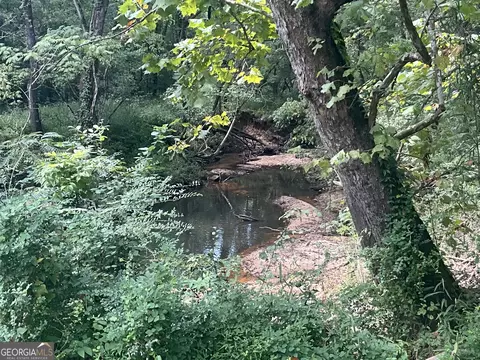 0 Cunningham Rd, Greensboro, GA 30642 photo 3