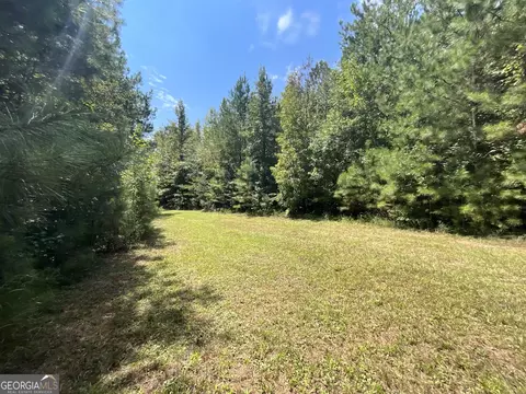 0 Cunningham Rd, Greensboro, GA 30642 photo 4
