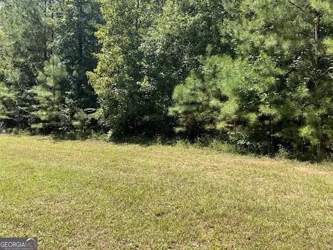 0 Cunningham Rd, Greensboro, GA 30642 photo 5