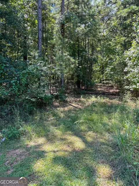 0 Chappell Mill Road Apt Rd #(TRACT 1), Jackson, GA 30233 photo 6