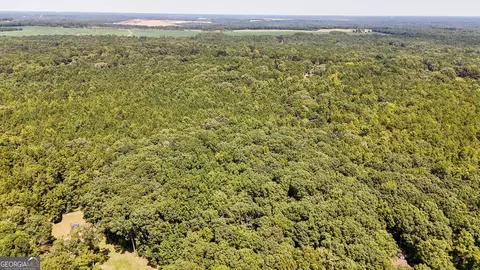 0 Chappell Mill Road Apt Rd #(TRACT 1), Jackson, GA 30233 photo 18