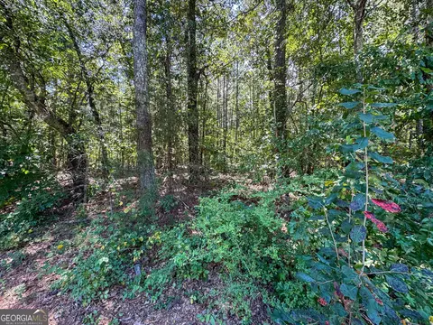 0 Chappell Mill Road Apt Rd #(TRACT 1), Jackson, GA 30233 photo 8