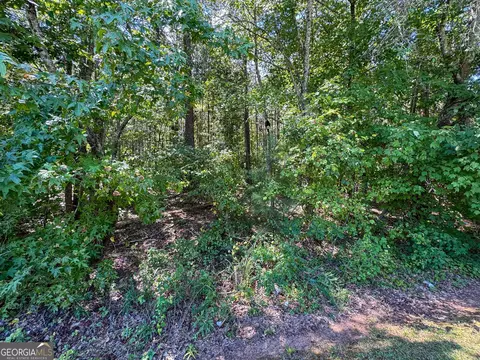0 Chappell Mill Road Apt Rd #(TRACT 2), Jackson, GA 30233 photo 8