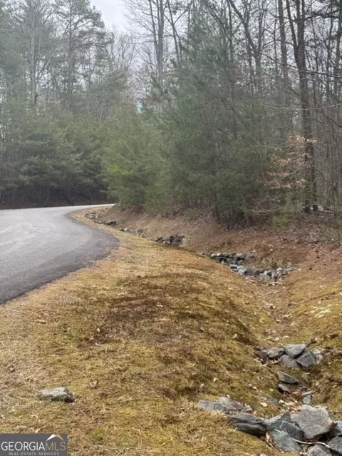 lot16 R Leatherwood Mtn, Cherry Log, GA 30522
