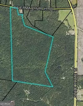 2 Balerma Church Rd, Sparta, GA 31087